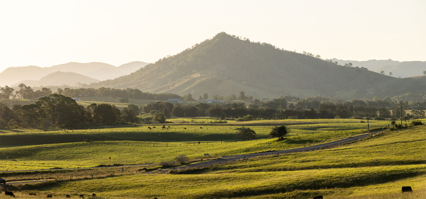 CPG_Estates_Hunter_Landscape_Mountain